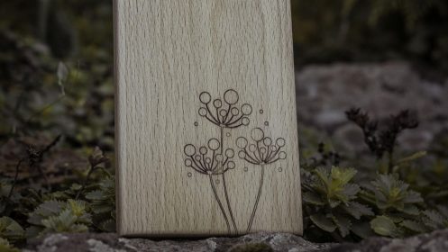 loparik-kvet-detail